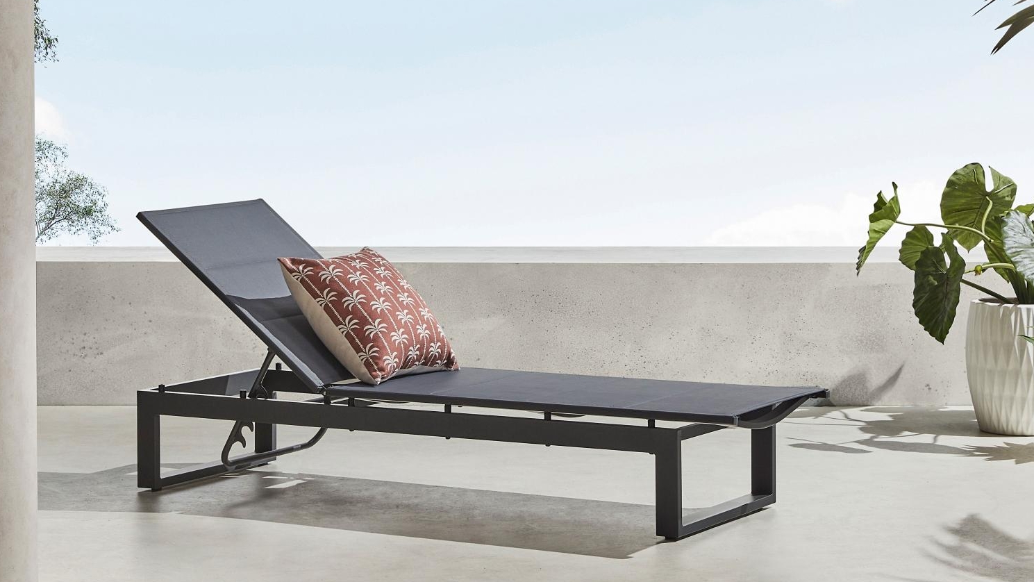 domayne sun loungers